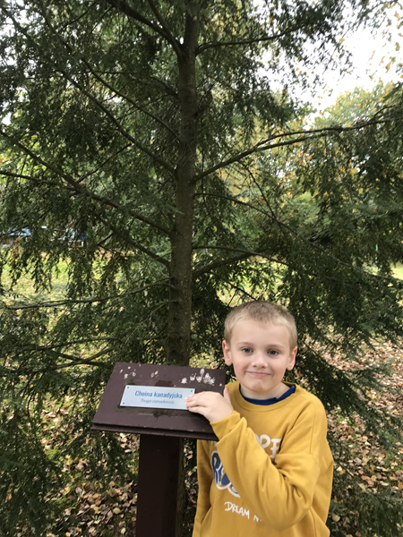 ARBORETUM w SPLEJKOWO