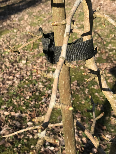 ARBORETUM w SPLEJKOWO